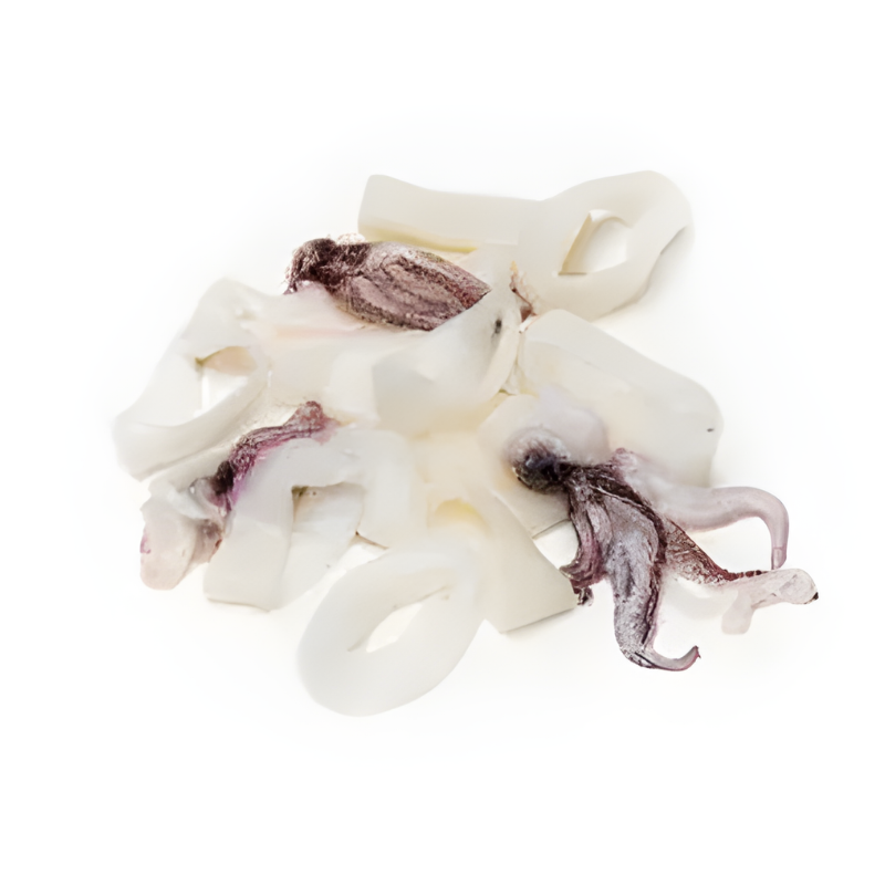 Squid Rings and Tentacles wholesale frozen seafood