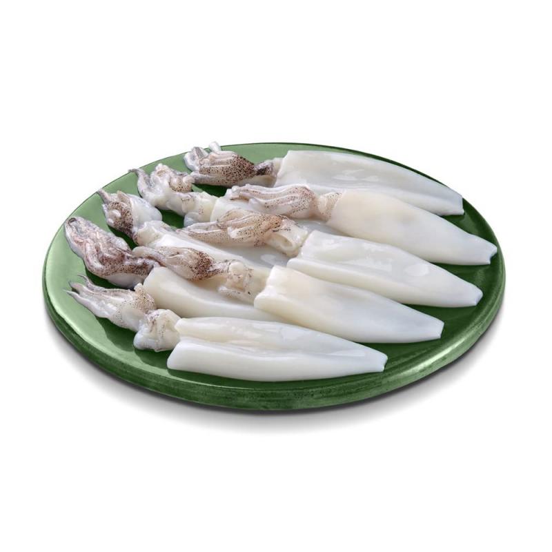Cleaned Squid premium export packaging